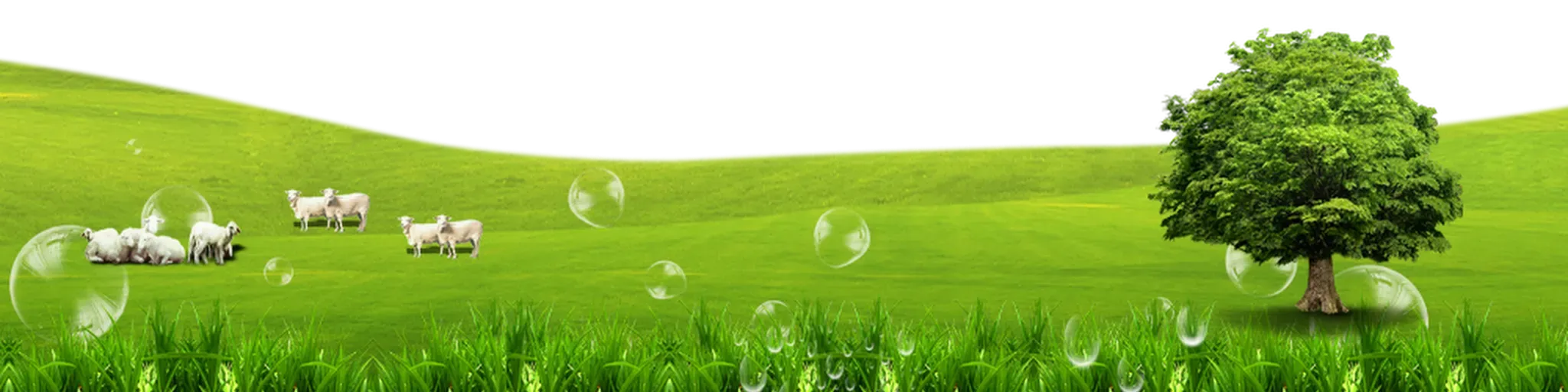 Radio La Biblia es tu Vida Trujillo