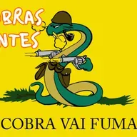 Las cobras fumaron y Brazil fue a la guerra