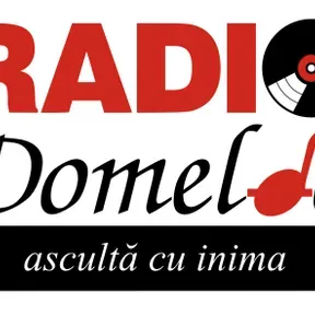 Radio Domeldo Live