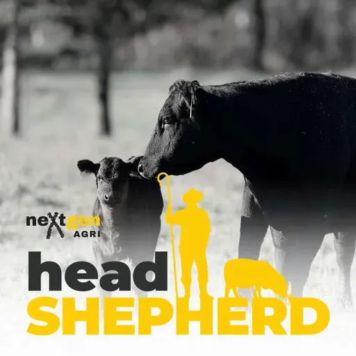 Fat, fertility and the genetics of cow performance with Professor Wayne Pitchford