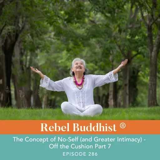The Concept of No-Self (and Greater Intimacy) - Off the Cushion Part 7