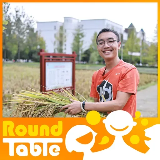 When campus stir-fries eclipse spreadsheets