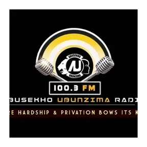 ABUSEKHO UBUNZIMA 100.3FM RADIO