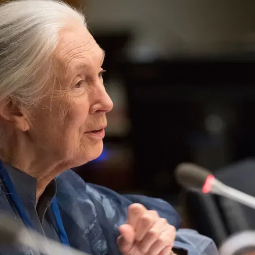 UN: Buriani Jane Goodall, mwanamazingira na mtaalamu wa sokwe