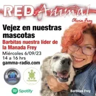 RED ANIMAL CON OLIVIA FREY/VEJEZ EN NUESTRAS MASCOTAS, BARBITAS FREY