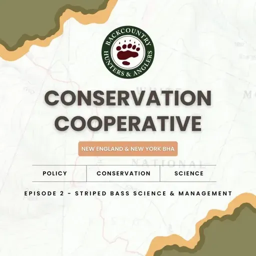 Conservation Cooperative, Ep. 2: Striped Bass