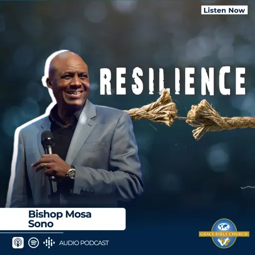 Resilience - 07 Dec 2025
