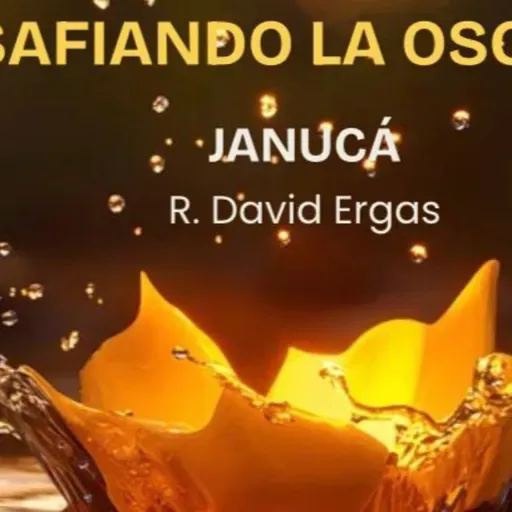 RAB DAVID ERGAS- JANUCA- DESAFIANDO LA OBSCURIDAD