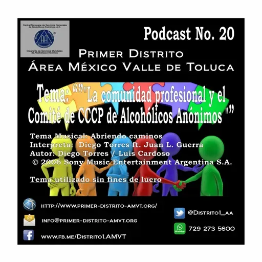 La comunidad profesional y el Comité de Cooperación con Comunidad Profesional