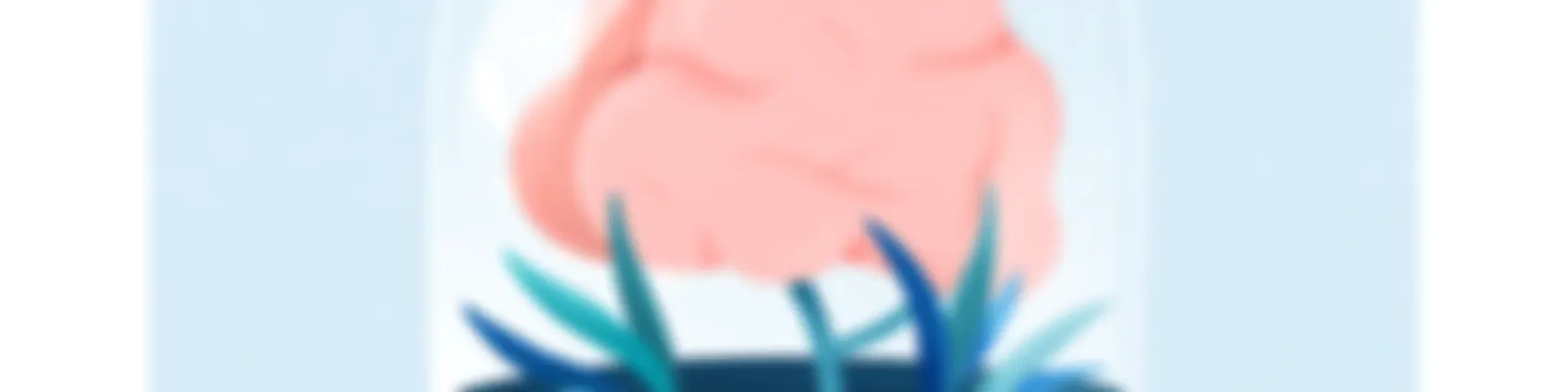 体験採集