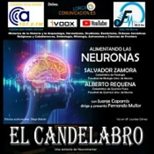 ALIMENTANDO LAS NEURONAS - El Candelabro 8T 07-02-2026 - Prog 15