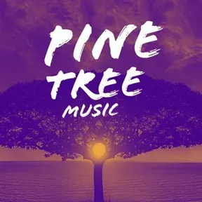 PTX BAY RADIO
