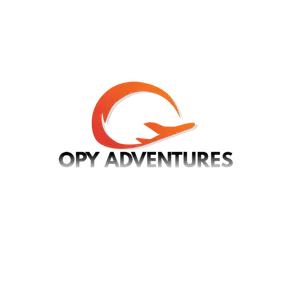 O - Radio