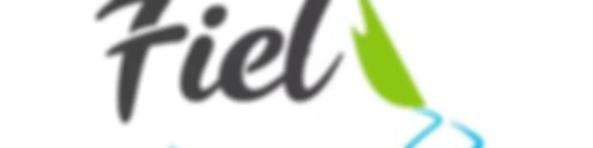 Iglesia Remanente Fiel