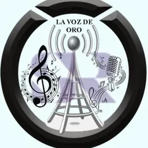 LA VOZ DE ORO ESTEREO