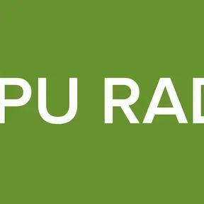 DAPU RADIO