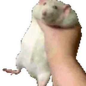 RatFM