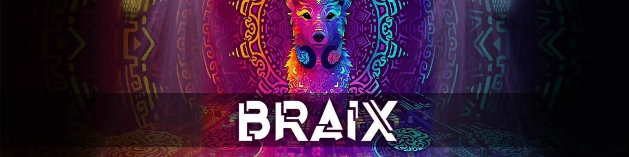 Braix Music