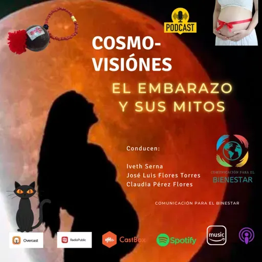 EL EMBARAZO Y SUS MITOS