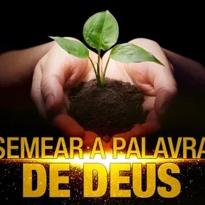 boas novas
