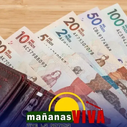 Preocupación por incremento del salario mínimo para 2026 advierte contador público