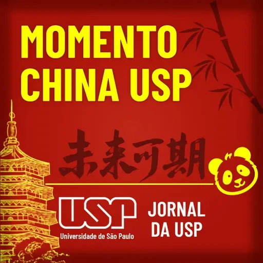 Momento China USP #59: maratona de Wuhan – USP leva única equipe universitária brasileira