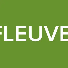 RADIO FLEUVE  DE VIE