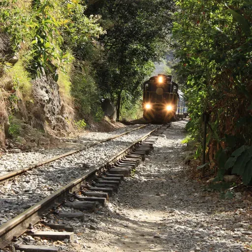 Varginha tem evento online sobre papel das ferrovias no desenvolvimento regional