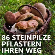 #86 Steinpilze pflastern ihren Weg
