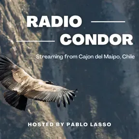 RADIO CONDOR