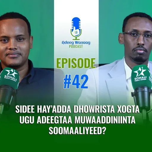 Sidee Hay’adda Dhowrista Xogta ugu Adeegtaa Muwaaddiniinta Soomaaliyeed?