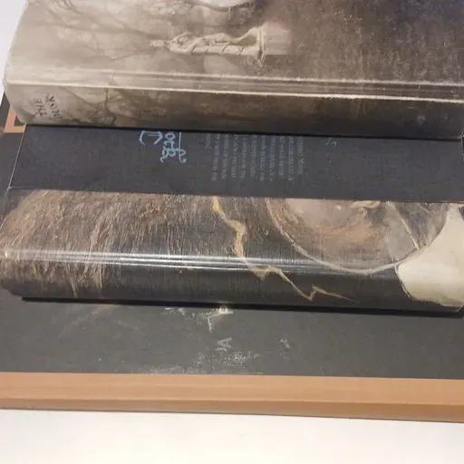 A arte da coletânea: curadoria, conceito, imagem