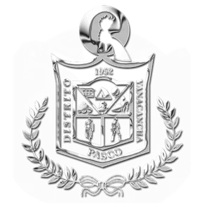 Radio Municipal