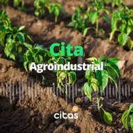 #65 El campo, las retenciones y qué hacemos? - Pedro Vignau (Cita Agroindustrial)