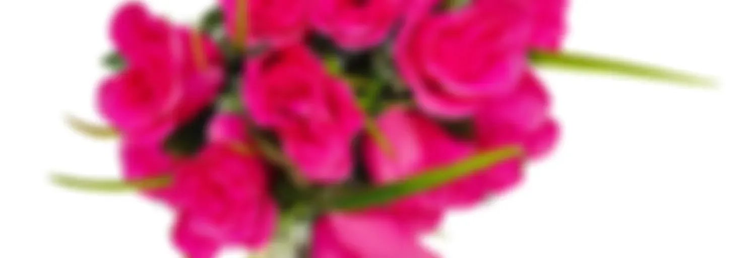 neenkaatha ninaivukal