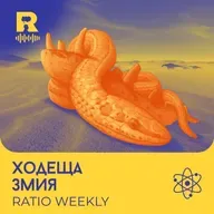 Ходеща змия – [Ratio Weekly с Никола Кереков #300]