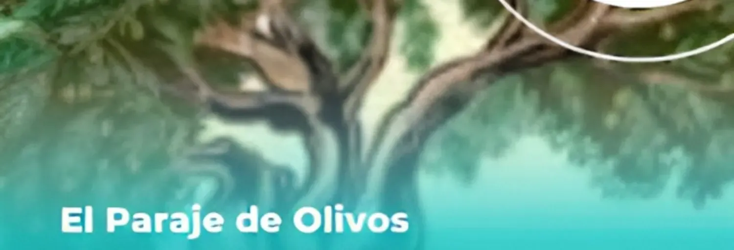 LA VOZ  CULTURAL