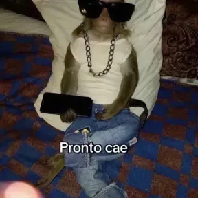 OLAAAAAA