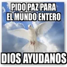 Paz En El Mundo Entero