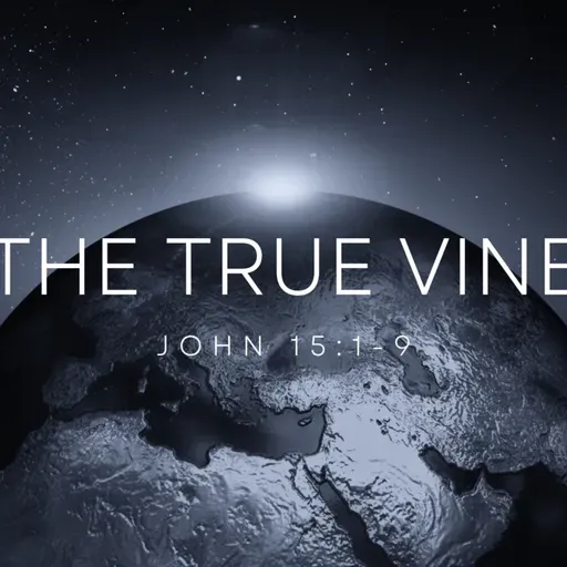 The True Vine