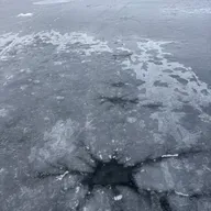 An icy mystery: What are lake stars?