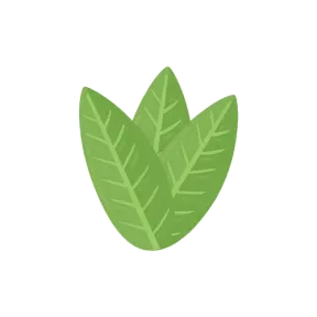 CALATHEA
