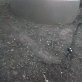 Podcast COMUNIDAD POZO TERMAL RADIO