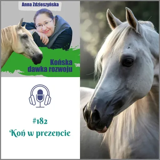 #182 Koń w prezencie