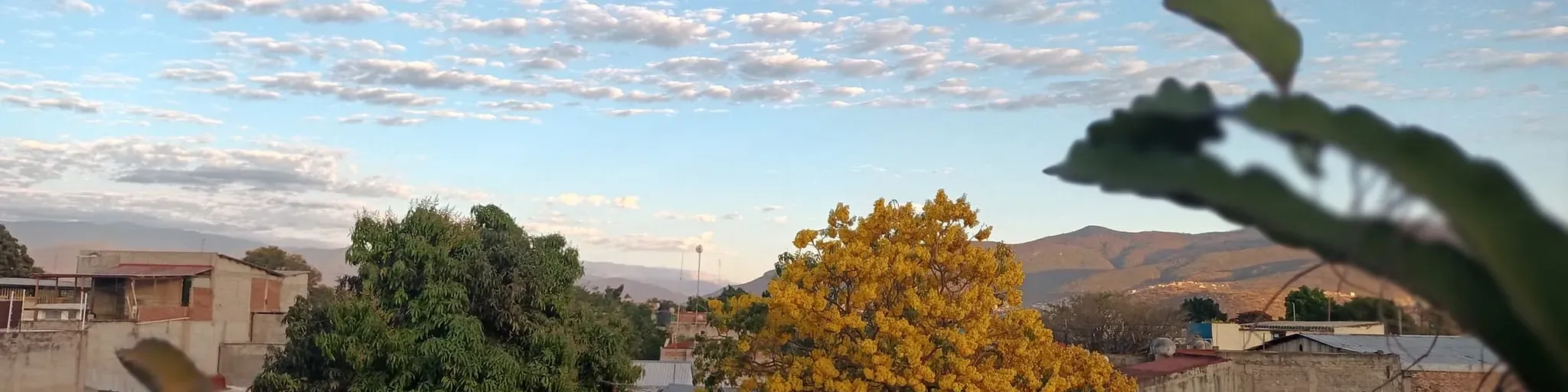 La S0ciedad Rooftop FM
