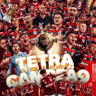 Palmeiras 0 x 1 Flamengo, final da libertadores