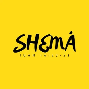 Radio Shema