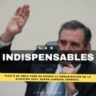 Plan B de AMLO pone en riesgo la organización de la elección 2024, según Lorenzo Córdova.