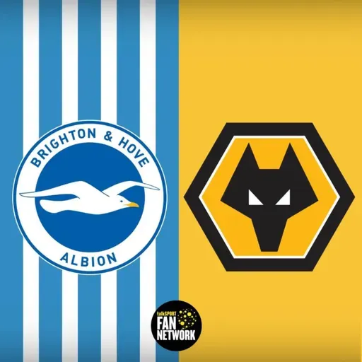Can Wolves Break the Seagulls Bogey? MATCH PREVIEW Brighton v Wolves