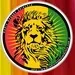 Radio Reggae Seleckta